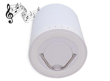 Bluetooth Altavoz