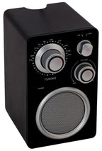 Parlante Altavoz Radio FM