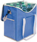 Lonchera Cooler Max