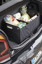 Organizador Viaje Auto