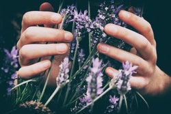 FLORALES Fragancias concentradas para difusores