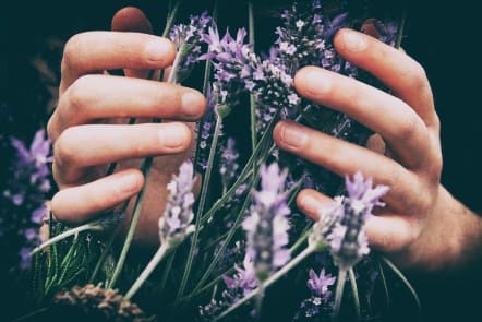 FLORALES Fragancias concentradas para difusores